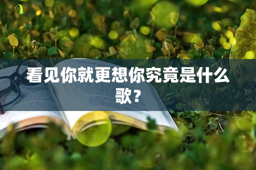 看见你就更想你究竟是什么歌？
