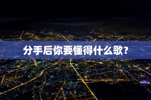 分手后你要懂得什么歌？