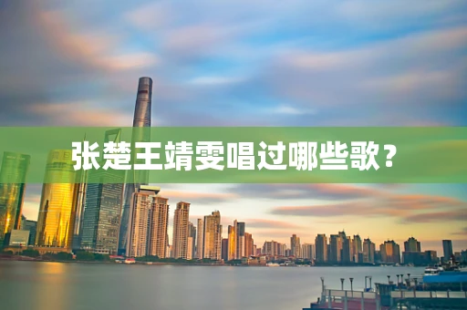 张楚王靖雯唱过哪些歌？