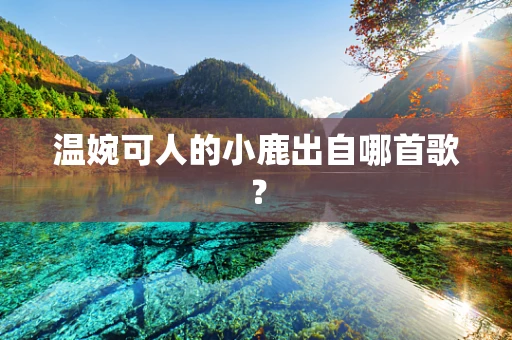 温婉可人的小鹿出自哪首歌？