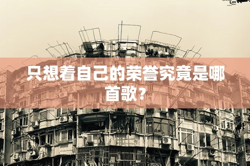 只想着自己的荣誉究竟是哪首歌？