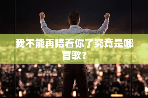 我不能再陪着你了究竟是哪首歌？