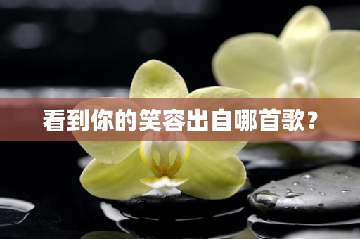 看到你的笑容出自哪首歌？