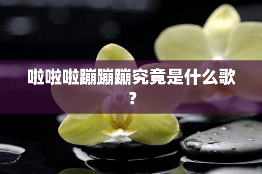 啦啦啦蹦蹦蹦究竟是什么歌？