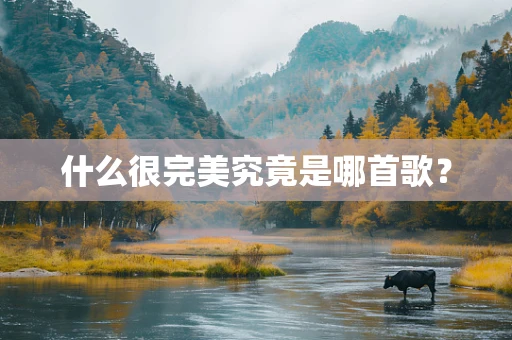 什么很完美究竟是哪首歌？
