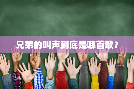 兄弟的叫声到底是哪首歌？