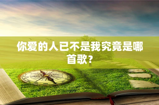 你爱的人已不是我究竟是哪首歌？