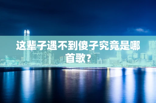 这辈子遇不到傻子究竟是哪首歌？