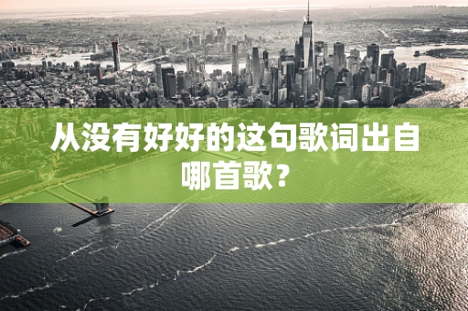 从没有好好的这句歌词出自哪首歌？