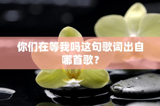 你们在等我吗这句歌词出自哪首歌？
