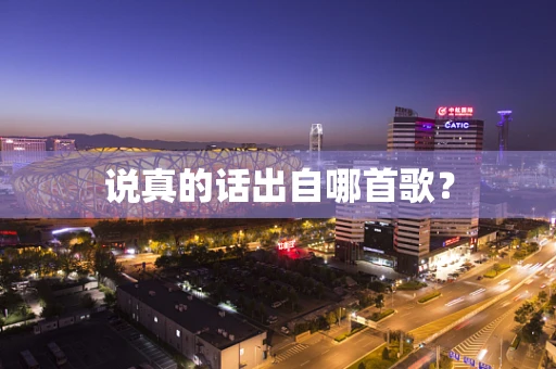 说真的话出自哪首歌？