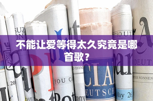 不能让爱等得太久究竟是哪首歌？