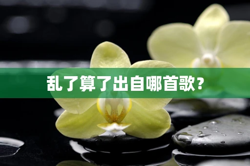 乱了算了出自哪首歌？