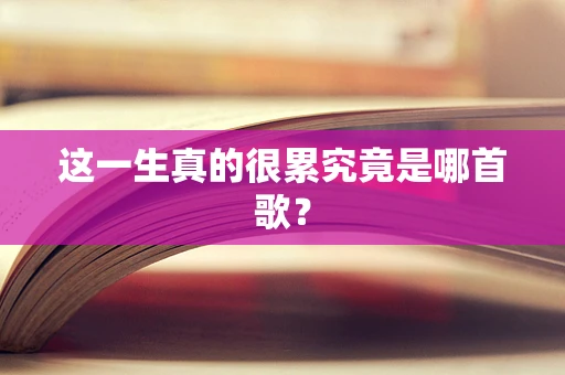 这一生真的很累究竟是哪首歌？