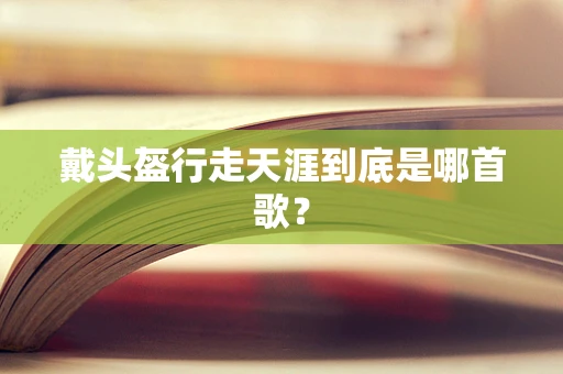 戴头盔行走天涯到底是哪首歌？