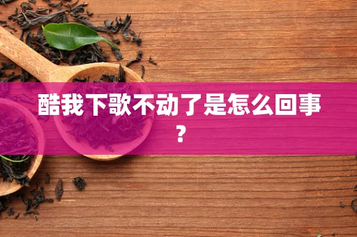 酷我下歌不动了是怎么回事？