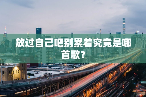 放过自己吧别累着究竟是哪首歌？