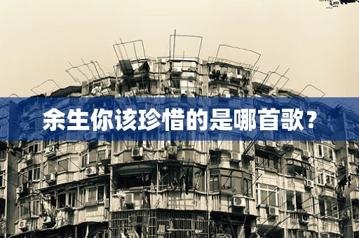 余生你该珍惜的是哪首歌？