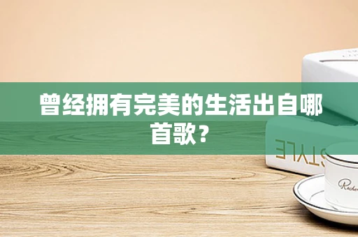 曾经拥有完美的生活出自哪首歌？