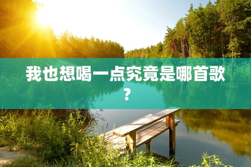 我也想喝一点究竟是哪首歌？