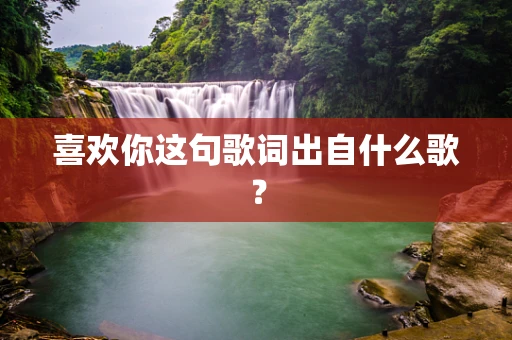 喜欢你这句歌词出自什么歌？