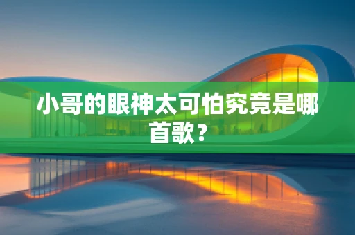 小哥的眼神太可怕究竟是哪首歌？