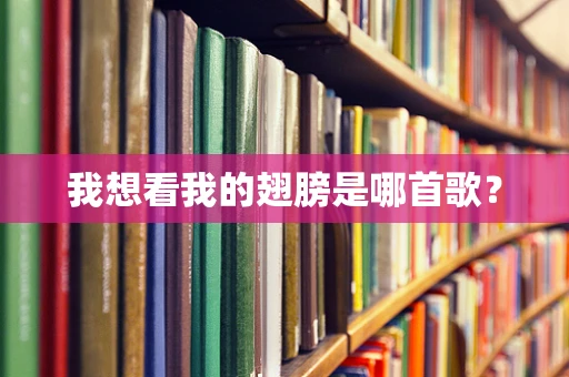 我想看我的翅膀是哪首歌？