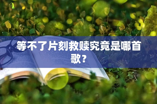 等不了片刻救赎究竟是哪首歌？