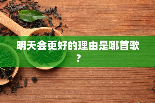 明天会更好的理由是哪首歌？