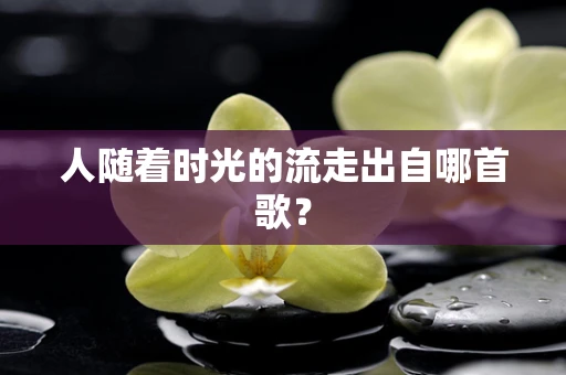 人随着时光的流走出自哪首歌？