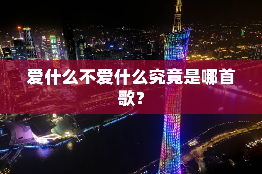 爱什么不爱什么究竟是哪首歌？