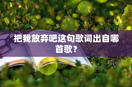 把我放弃吧这句歌词出自哪首歌？