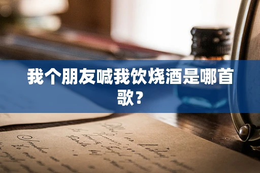 我个朋友喊我饮烧酒是哪首歌？