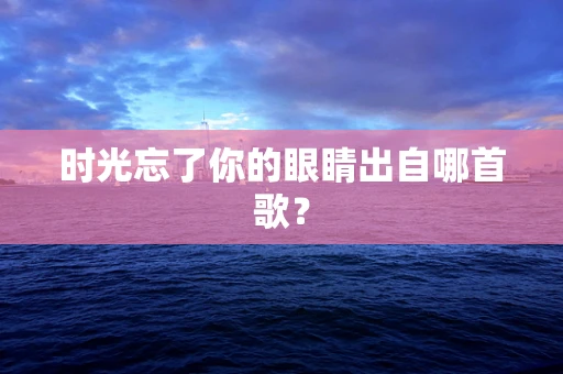 时光忘了你的眼睛出自哪首歌？