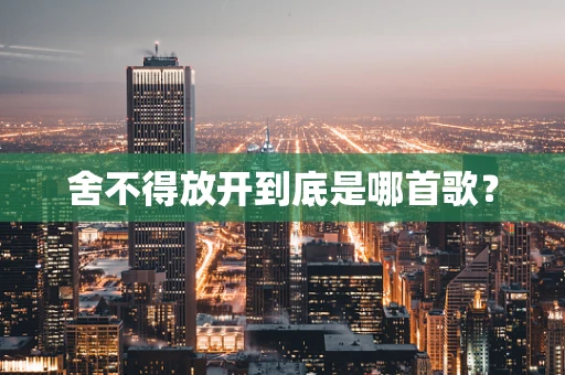 舍不得放开到底是哪首歌？