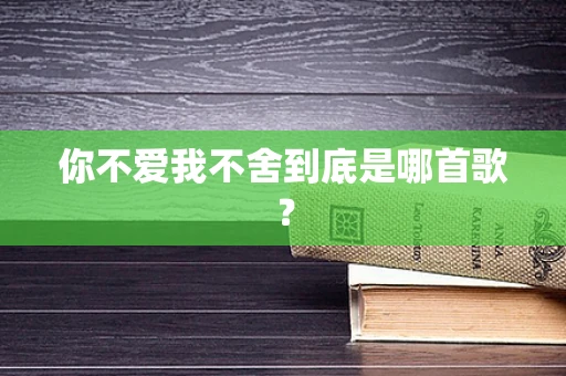 你不爱我不舍到底是哪首歌？
