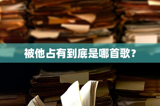 被他占有到底是哪首歌？