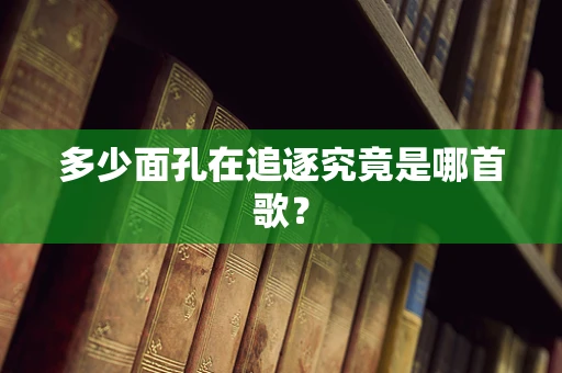 多少面孔在追逐究竟是哪首歌？