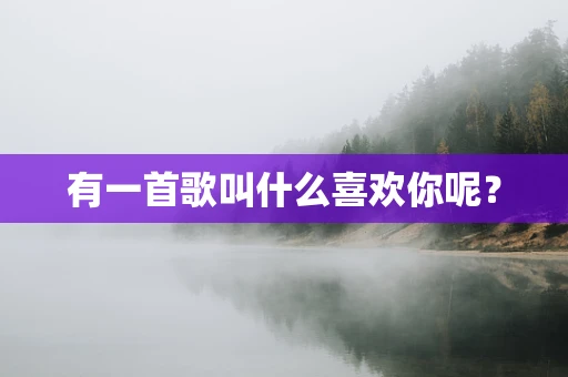 有一首歌叫什么喜欢你呢？