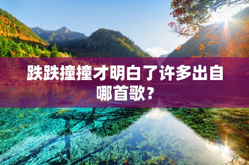 跌跌撞撞才明白了许多出自哪首歌？