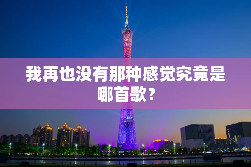 我再也没有那种感觉究竟是哪首歌？