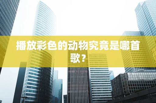 播放彩色的动物究竟是哪首歌？