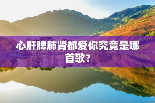 心肝脾肺肾都爱你究竟是哪首歌？