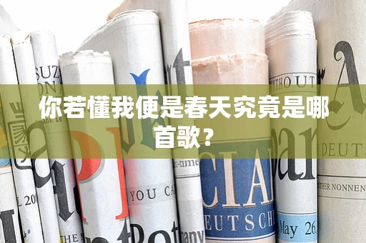 你若懂我便是春天究竟是哪首歌？