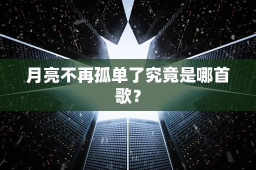 月亮不再孤单了究竟是哪首歌？