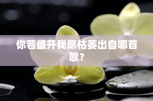 你若盛开我愿枯萎出自哪首歌？
