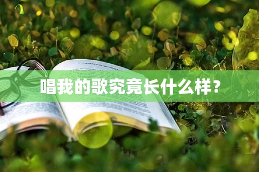 唱我的歌究竟长什么样？