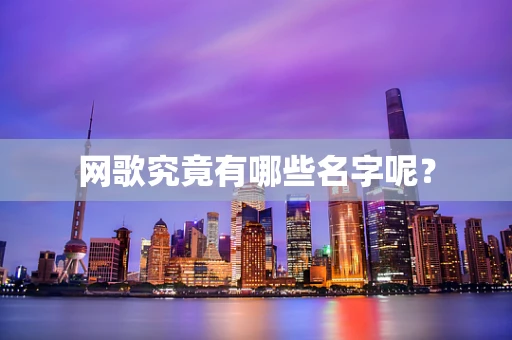 网歌究竟有哪些名字呢？