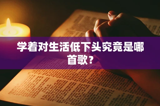 学着对生活低下头究竟是哪首歌？