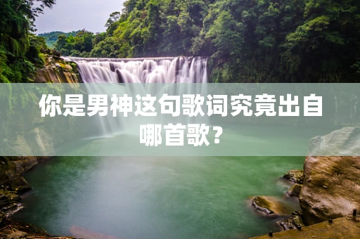 你是男神这句歌词究竟出自哪首歌？